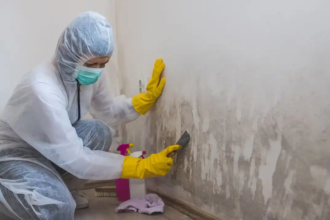water damage restoration service South Town Fork Creek